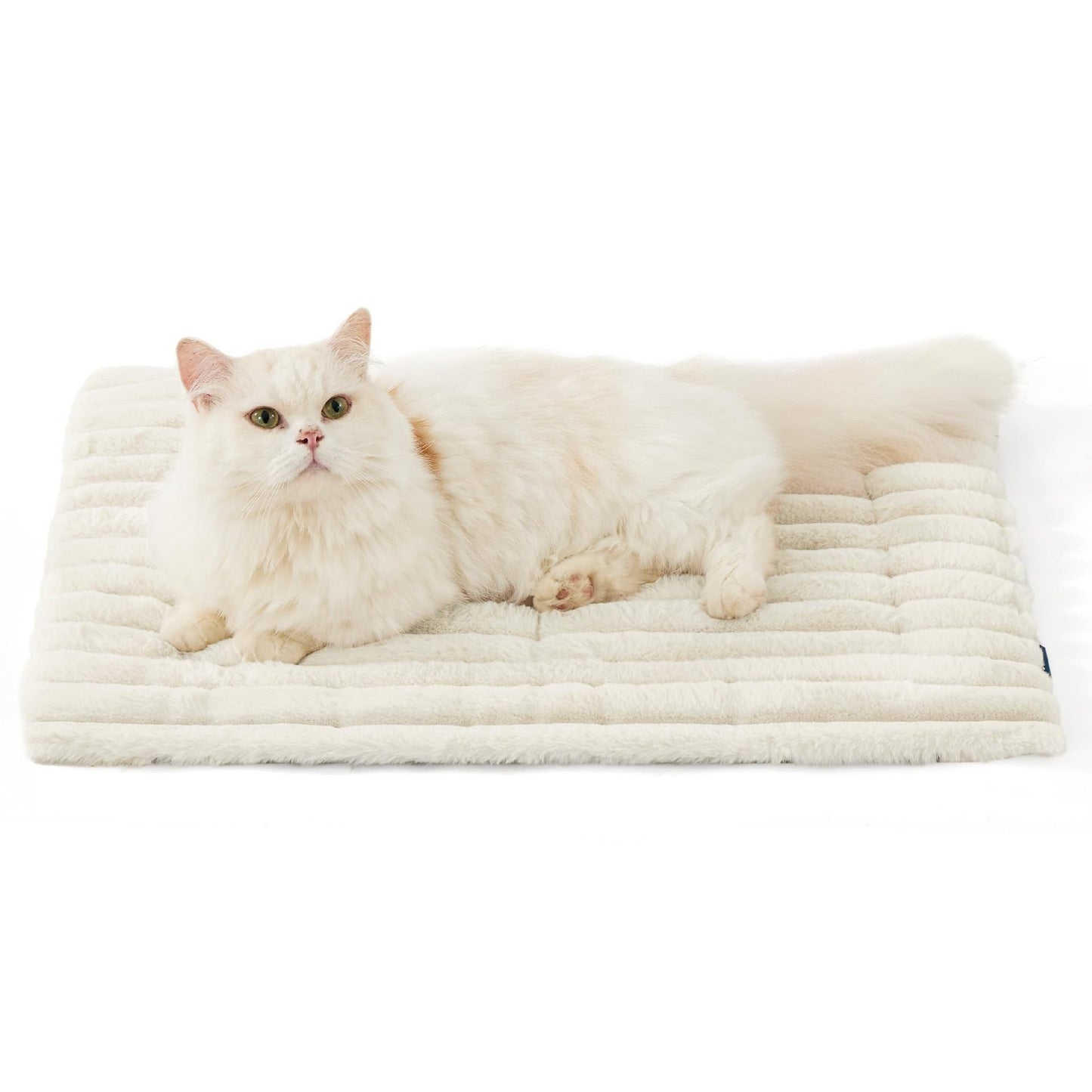 Winter essentials for your pet🐈️🐕️Self Warming pet insulation pad🔥
