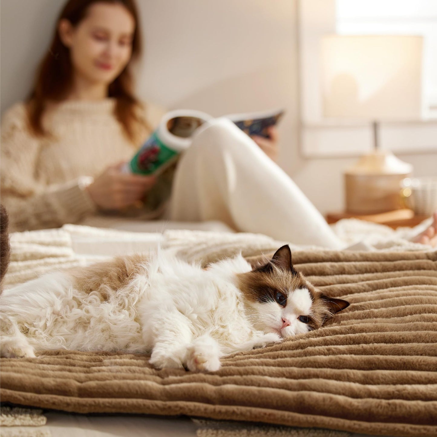 Winter essentials for your pet🐈️🐕️Self Warming pet insulation pad🔥